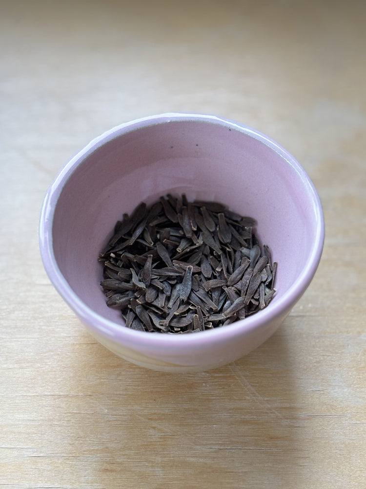 Dahlia Seeds